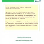 Consultes Online
